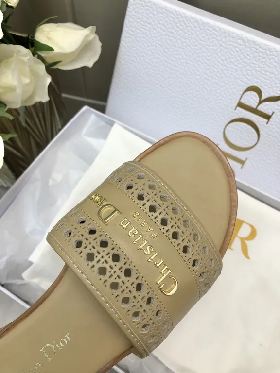 Dior Shoe 